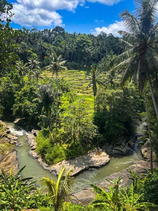 Ubud Riverside Villa Kültér fotó