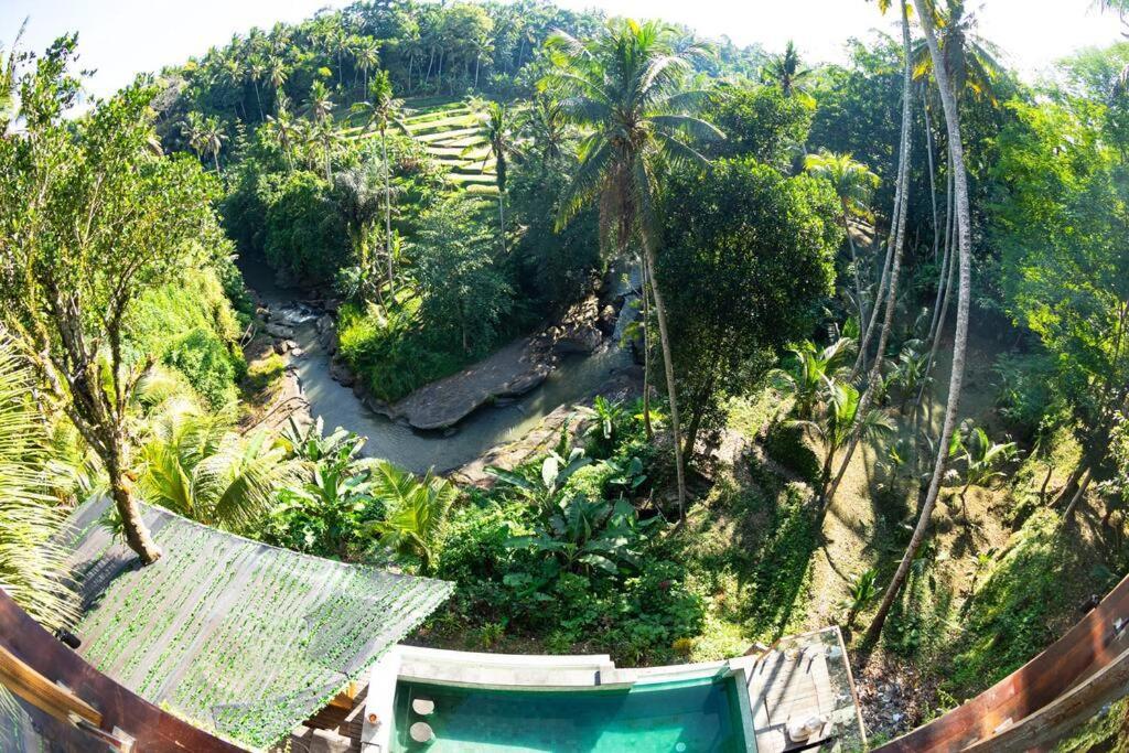 Ubud Riverside Villa Kültér fotó