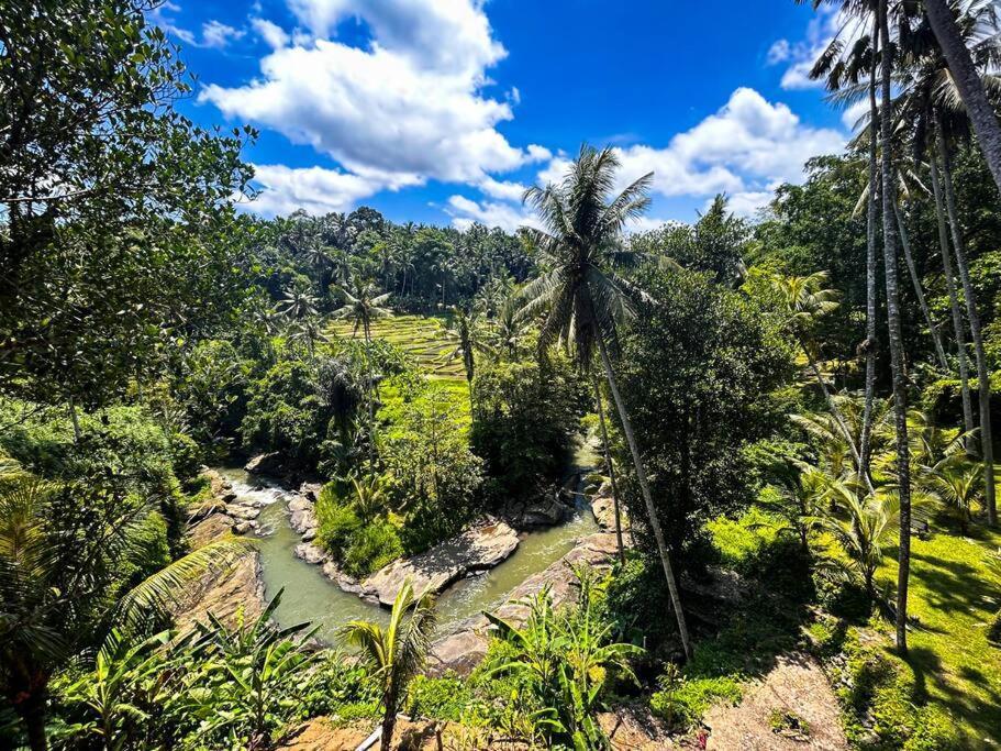 Ubud Riverside Villa Kültér fotó